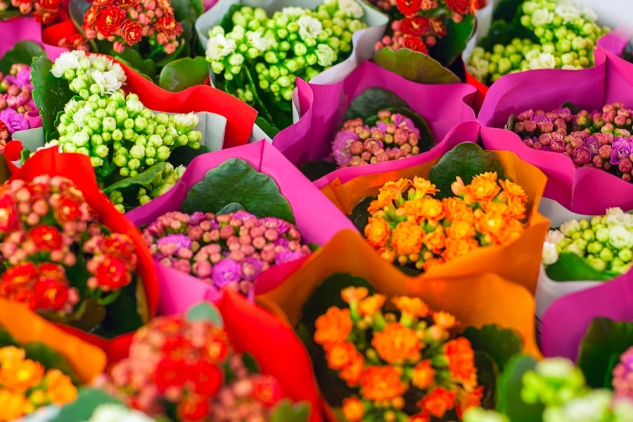 Flowers