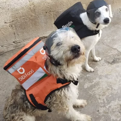 Garritas Guerreras
