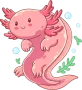 axolotl-1