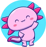 axolotl-3